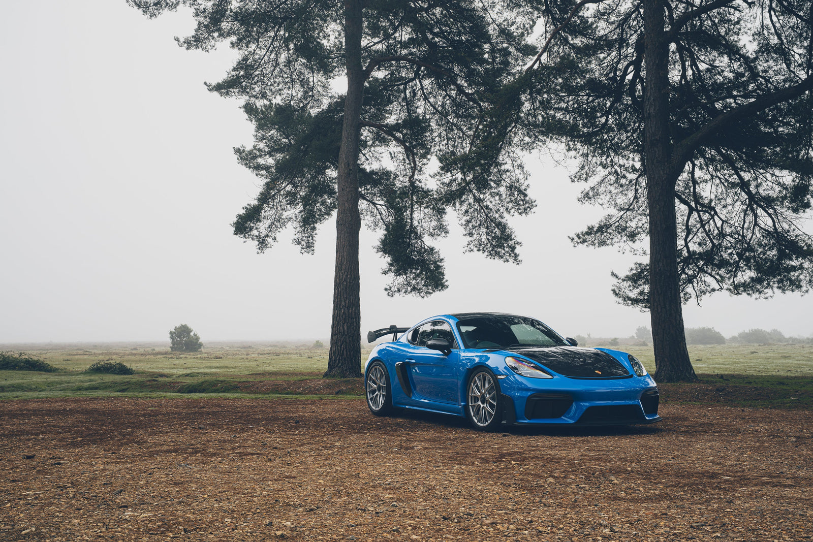 Ceramic Paint Protection