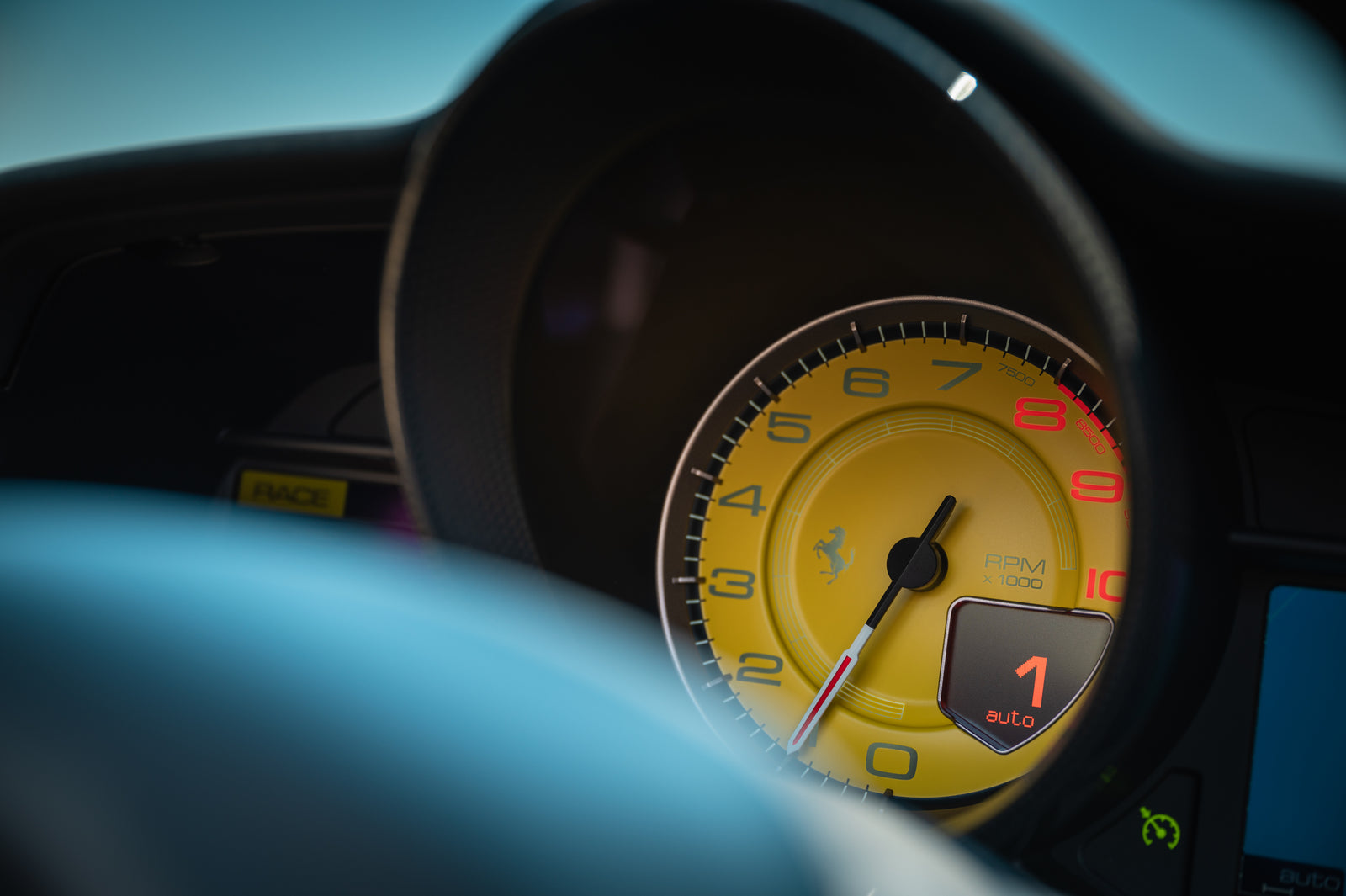 Complete Hoses & Whip Lines