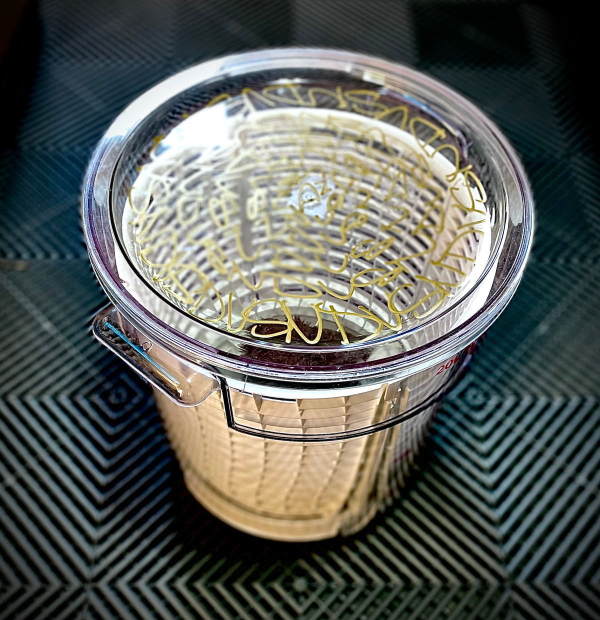 Clear Lid for GHÕST Bucket